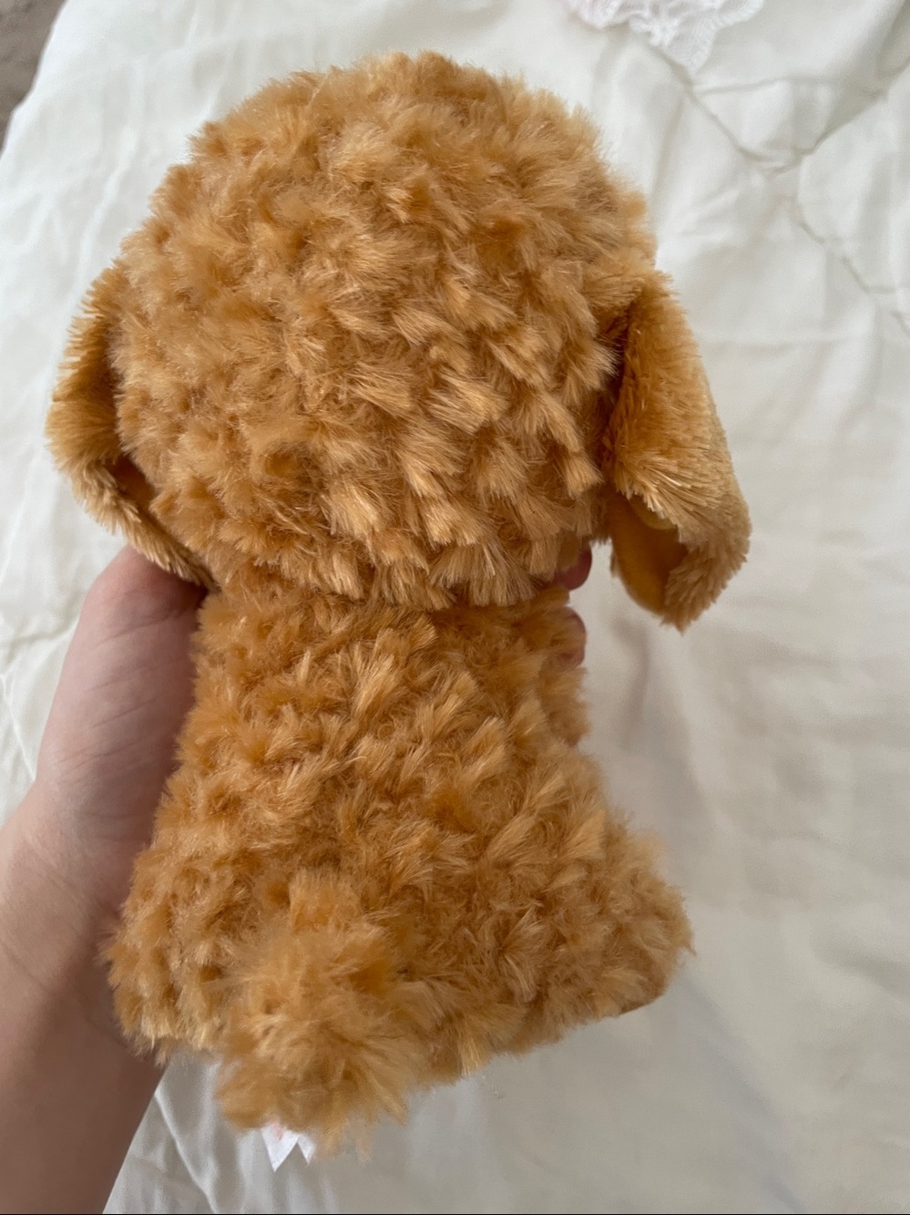 Small ty noodles dog Plush - Picture 4 of 5
